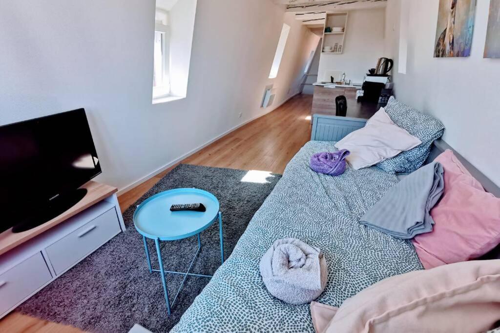 ** Appartement Cathedrale Strasbourg Centre** Dış mekan fotoğraf